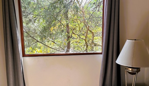 Loft panorámico, balcón, vistas al jardín