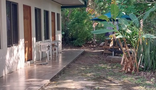 Habitación estándar, patio, vistas al jardín