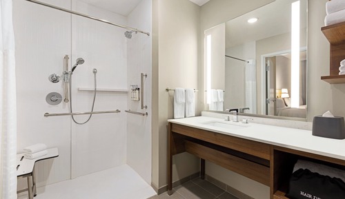 Suite estudio, 1 cama de matrimonio grande, accesible en silla de ruedas, cocina (Accessible Shower)