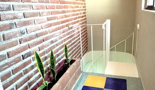 Apartamento básico, patio