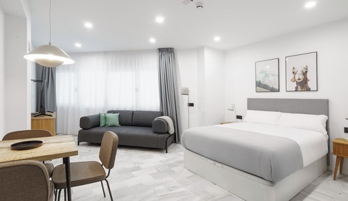 Estudio, 1 cama doble con sofá cama, ducha adaptada (Wheelchair Access)