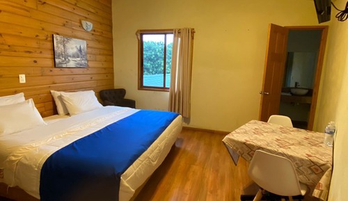 Habitación estándar, vistas al jardín