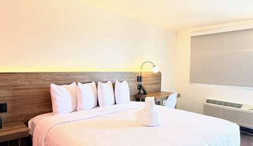 Suite ejecutiva, 1 cama de matrimonio grande