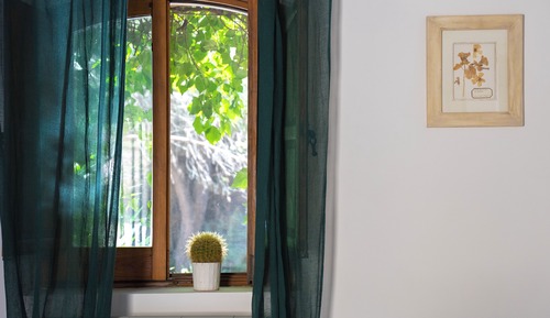 Suite de lujo