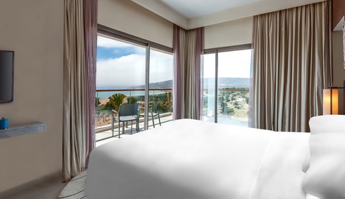 Suite, 1 cama de matrimonio grande con sofá cama (Specialty)