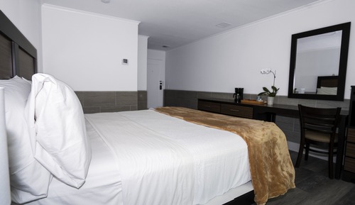 Habitación estándar (1 King bed- NO PETS)