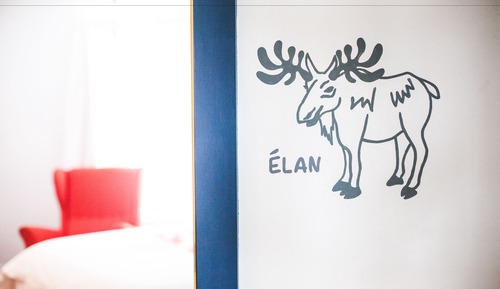 Habitación doble, 1 cama de matrimonio, baño privado (Moose)