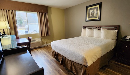 Habitación Deluxe, 1 cama de matrimonio grande, frigorífico y microondas