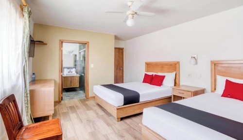 Habitación estándar, 2 camas dobles