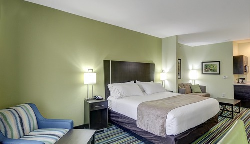 Suite, 1 cama de matrimonio grande, accesible para personas con discapacidad (Comm)