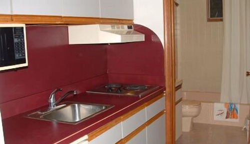 Suite ejecutiva, 1 habitación, cocina básica