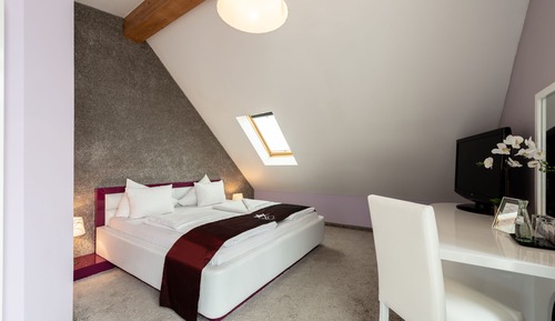 Suite Business, 1 cama de matrimonio, balcón, vistas al jardín