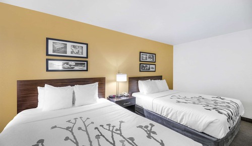 Habitación estándar, 2 camas de matrimonio, no fumadores