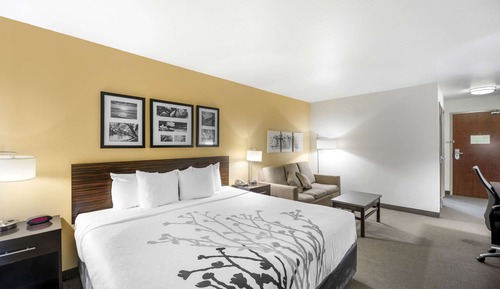 Suite, 1 cama de matrimonio grande con sofá cama, no fumadores
