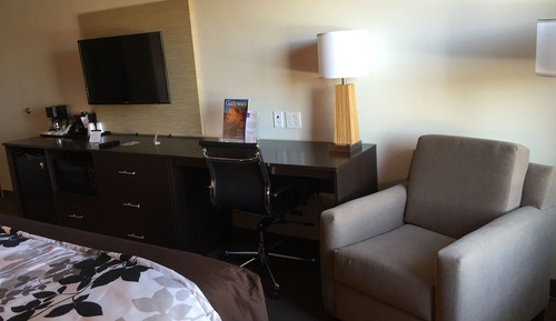 Standard Room, 1 King Bed with Sofabed, Non Smoking