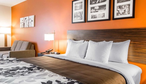 Habitación, 1 cama de matrimonio grande, accesible para personas con discapacidad, no fumadores