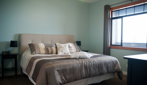 Suite, 1 cama de matrimonio grande con sofá cama