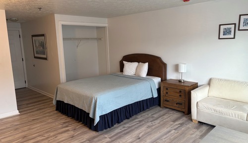 Suite junior, 1 cama doble con sofá cama