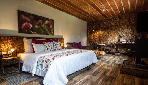 Habitación junior
