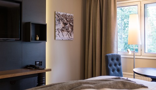 Habitación Deluxe, 1 cama de matrimonio grande