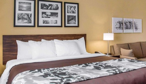 Suite, 1 cama de matrimonio grande con sofá cama, no fumadores (2 Person Sofa Bed)