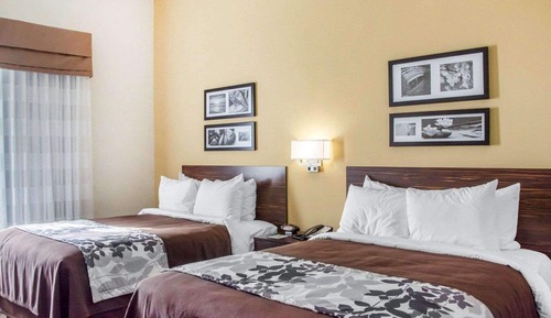 Habitación, 2 camas de matrimonio, no fumadores (Pet Friendly)