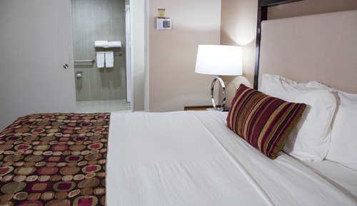 Suite, 1 cama de matrimonio grande, accesible para personas con discapacidad (Roll-In Shower)