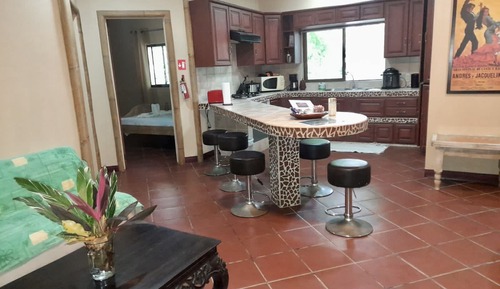 Apartamento Premium, 2 habitaciones, cocina, planta baja