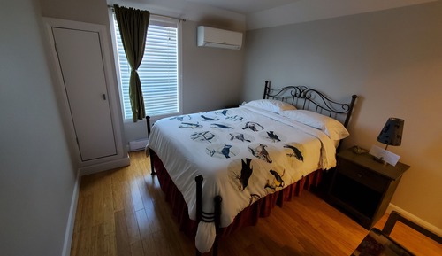 Habitación estándar, 1 cama doble, baño privado
