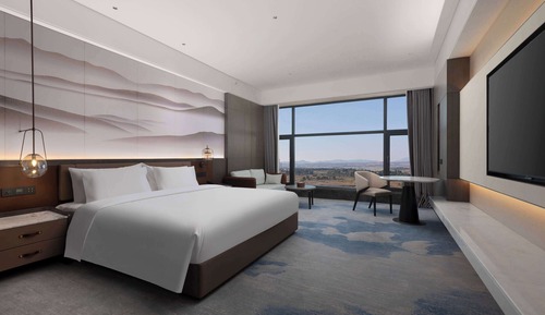Habitación Deluxe, 1 cama de matrimonio grande con sofá cama, vistas a la ciudad