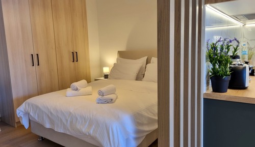 Suite junior, vistas al parque