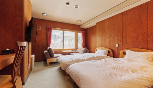 Habitación Confort con 2 camas individuales, vistas al jardín