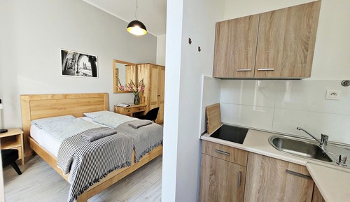 Suite estudio estándar, 1 cama doble, vistas a la ciudad