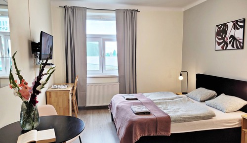 Suite estudio estándar, 1 cama doble, vistas a la ciudad