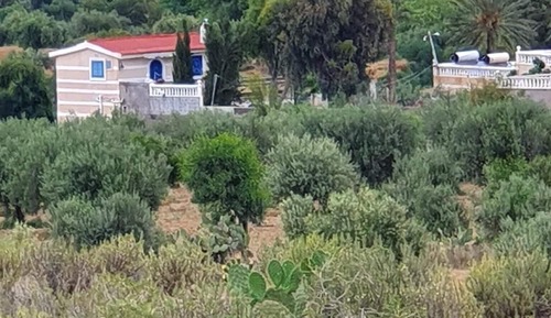 Estudio Confort, vistas al jardín
