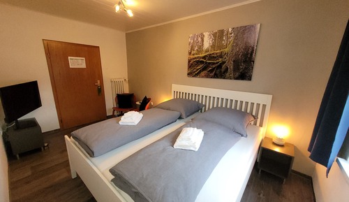 Habitación clásica doble, 1 cama de matrimonio grande