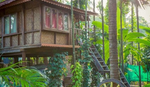 Casa en un árbol