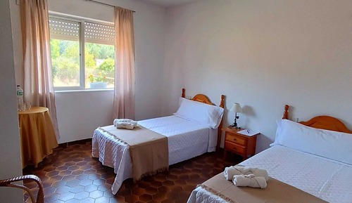 Habitación básica con 2 camas individuales