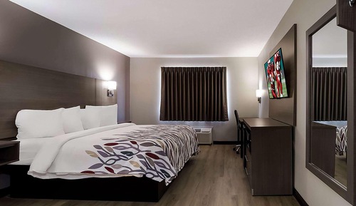 Habitación, 1 cama de matrimonio, no fumadores (Mobility, Roll-in Shower)