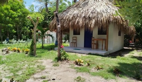 Cabaña Deluxe, vistas al jardín
