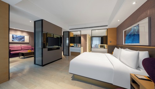 Suite de lujo