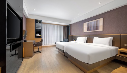 Habitación Deluxe con 2 camas individuales