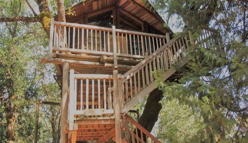 Casa en un árbol
