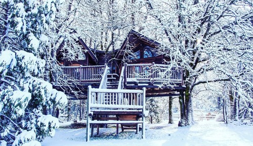Casa en un árbol, vistas a la piscina