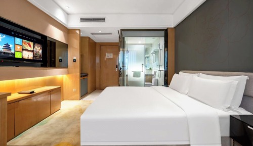 Comfort Single Room