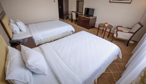 Habitación estándar con 2 camas individuales