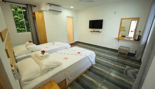 Habitación Deluxe con 2 camas individuales