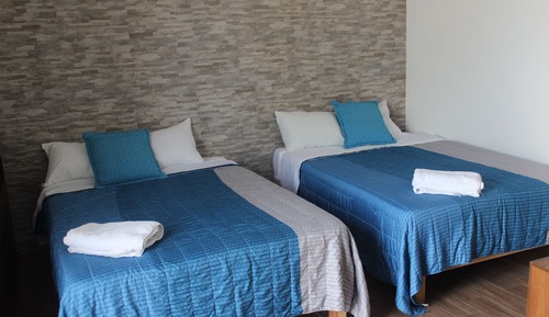 Suite Confort