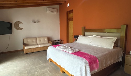 Habitación Premium, vistas al jardín