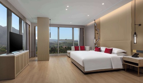 Suite, 1 cama de matrimonio grande, fumadores, vistas a la ciudad